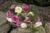 _j112958_small.jpg