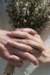 _j112877_small.jpg