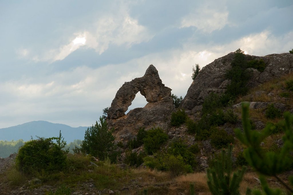 _1032362551.jpg
