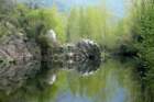 _2531135029_small.jpg