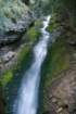 _3108187177_small.jpg